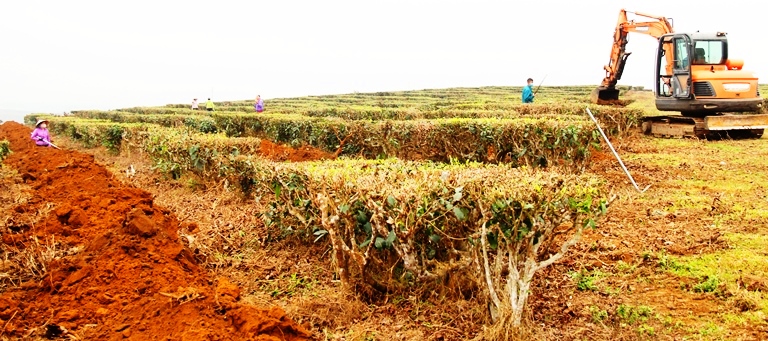Quyết liệt, khẩn trương ngay từ những ngày đầu, tháng đầu